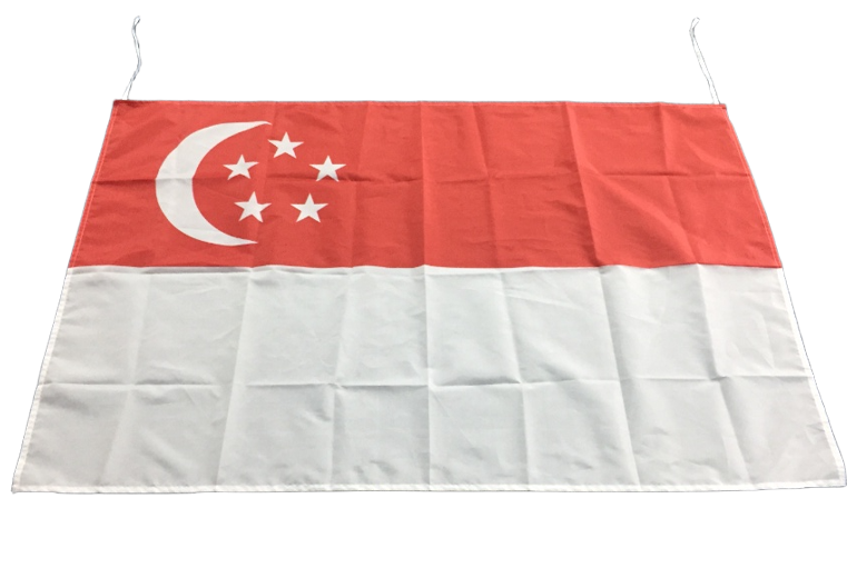 Gahumi Case-Singapore Flag-01.png